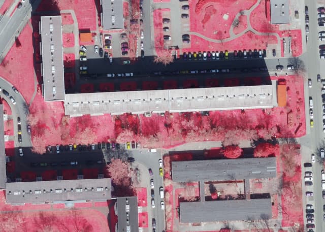 Infrared orthophoto example